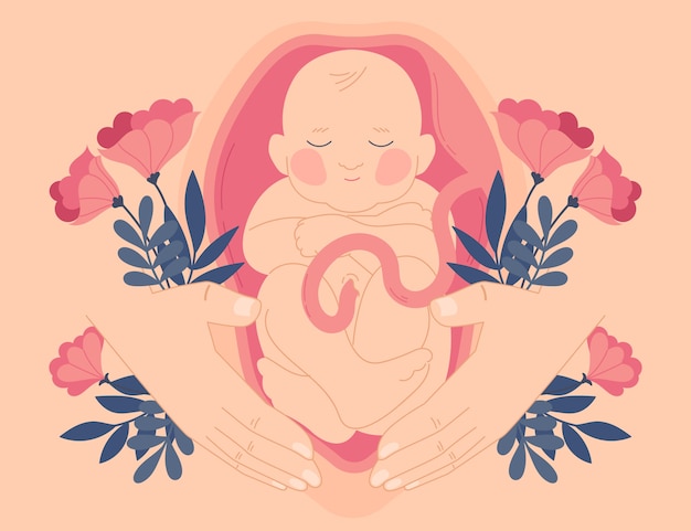hand drawn fetus illustration