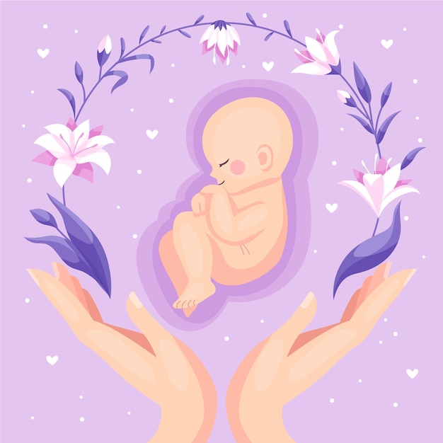 hand drawn fetus illustration