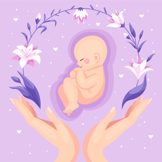 Vector hand drawn fetus illustration