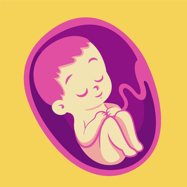 Vector hand drawn fetus illustration