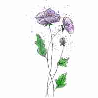 Vector hand drawn field flower isolated on white background pearl watercolor liner and paint splatter