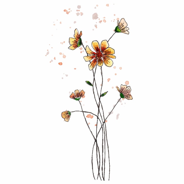 흰색 배경에 고립 된 손으로 그린 필드 꽃 진주 수채화 라이너 및 페인트 튄