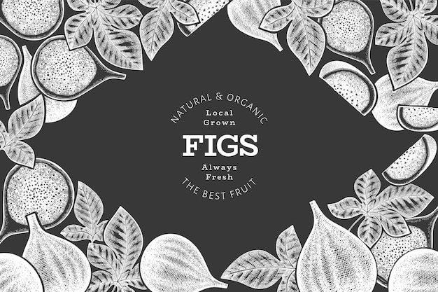 Hand drawn fig fruits design template. organic fresh food  illustration on chalk board.