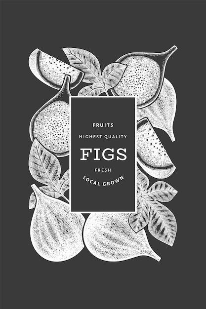 Hand drawn fig fruits design template. organic fresh food vector illustration on chalk board. retro fig fruit banner.