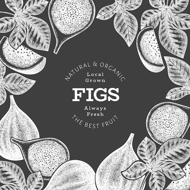 Hand drawn fig fruits design template organic fresh food vector illustration on chalk board retro fig fruit banner