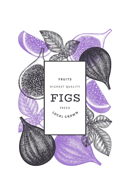 Vector hand drawn fig fruits design template