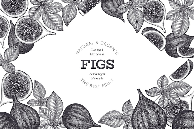 Hand drawn fig fruits design