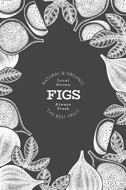 Hand drawn fig fruits label template