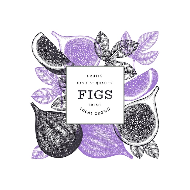 Hand drawn fig fruits label template