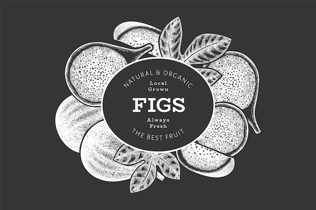 Hand drawn fig fruits. organic fresh food on chalk board. retro fig fruit label.