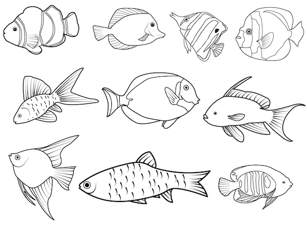 Vettore collezione di pesci disegnati a mano