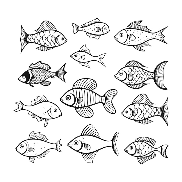 Vector hand drawn fish vector collection set