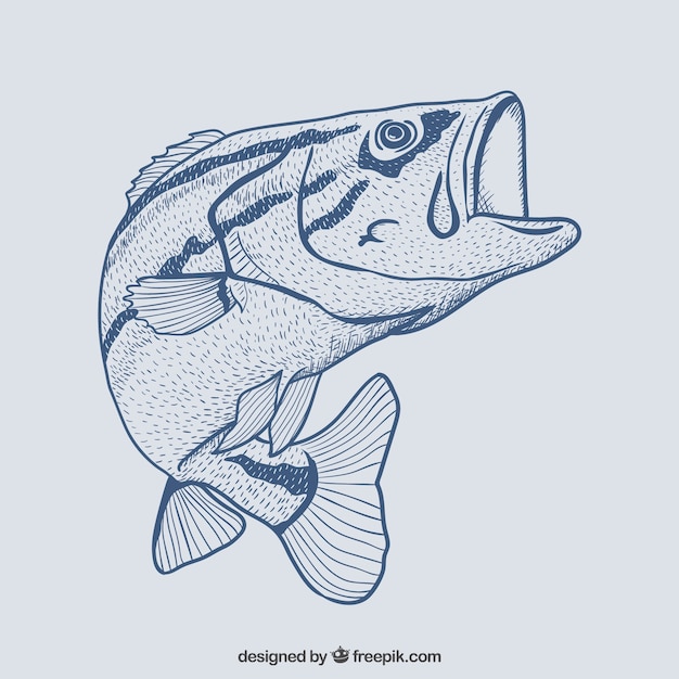 ベクトル 手描きの魚