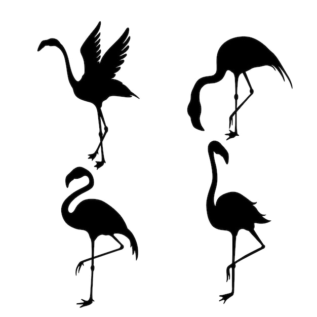 Vector hand drawn flamingo silhouette