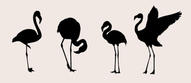 Hand drawn flamingo silhouette