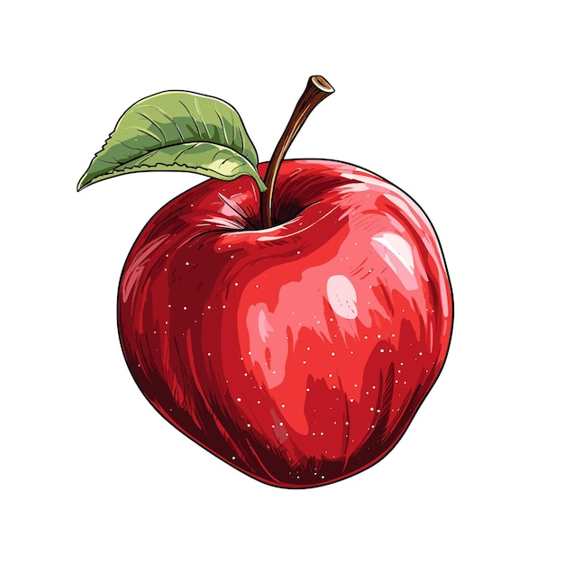 Hand Drawn Flat Color Apple Fruit Illustration