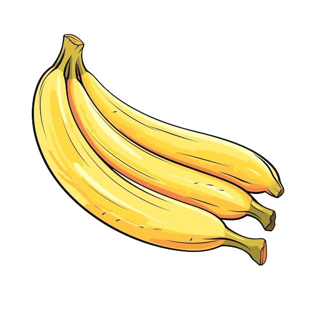 Hand Drawn Flat Color Banana Fruit Illustration