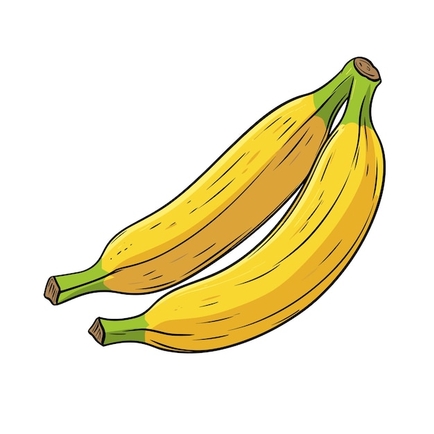 Hand Drawn Flat Color Banana Illustration