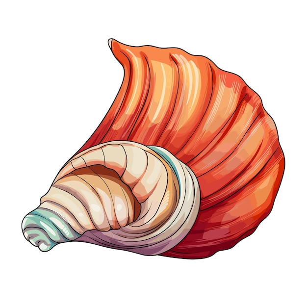 Hand Drawn Flat Color Conch Illustration