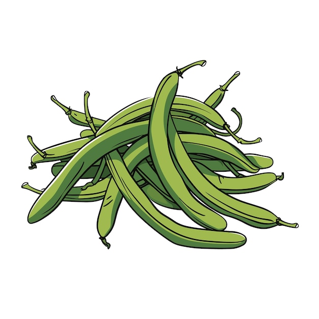 Hand drawn flat color green beans illustration