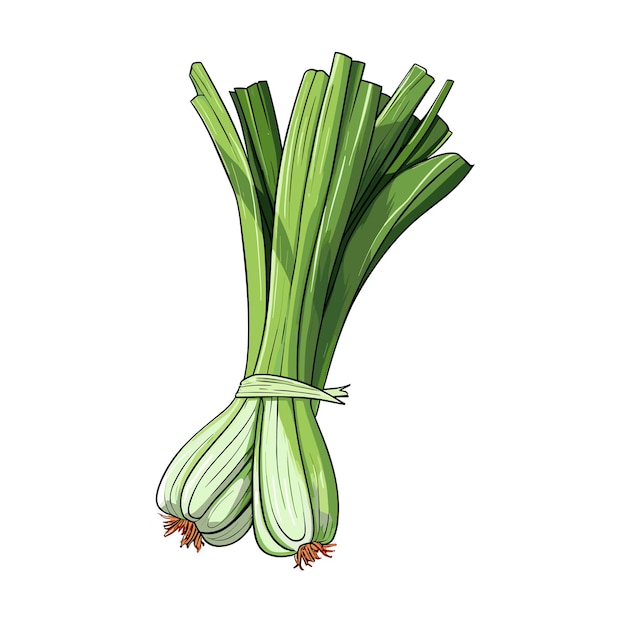 Hand Drawn Flat Color Leek Illustration