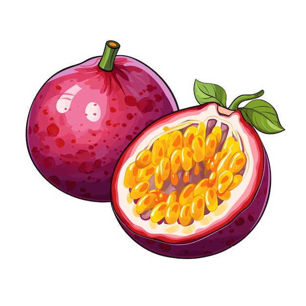 Hand Drawn Flat Color Passion Fruit Illustration