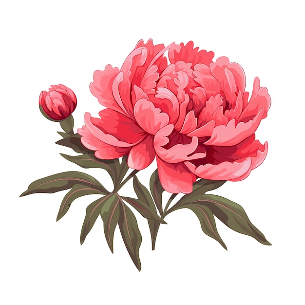 Нарисованная рукой иллюстрация цветка пиона плоского цвета