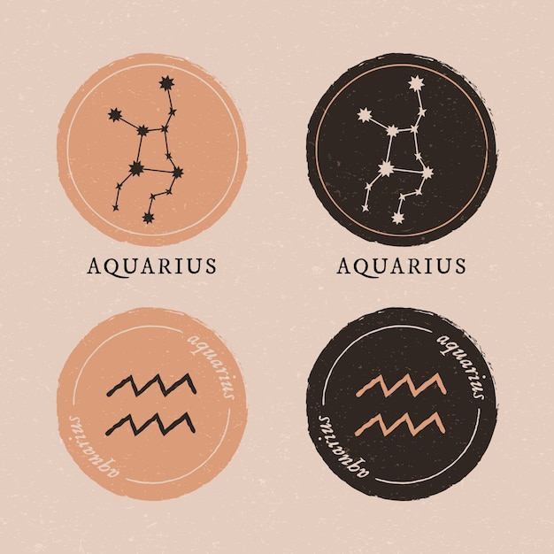 Vector hand drawn flat design aquarius logo