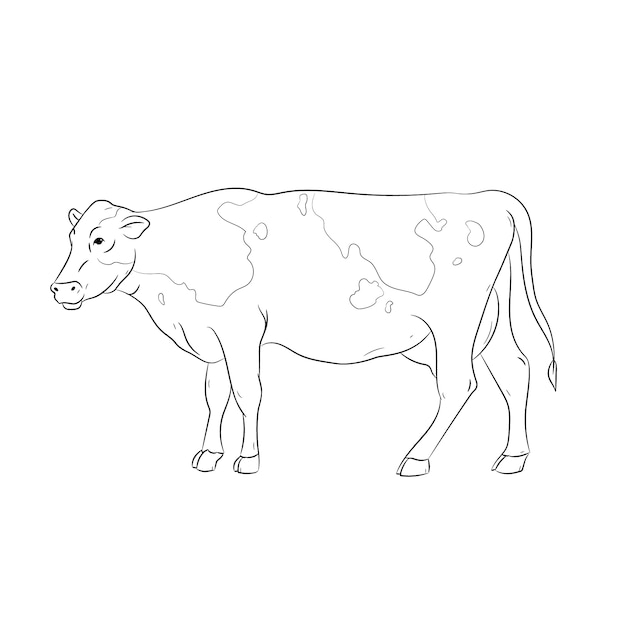 Hand drawn flat design cow outline