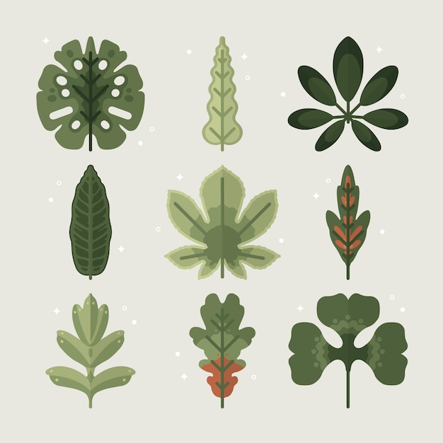 Hand drawn flat design leaf collection