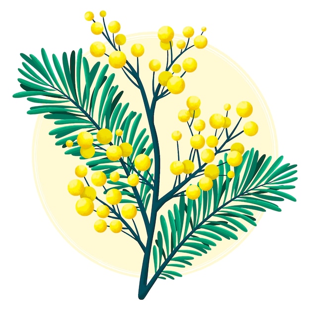 Vector hand drawn flat design mimosa flower illustration