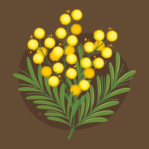 Vector hand drawn flat design mimosa illustration