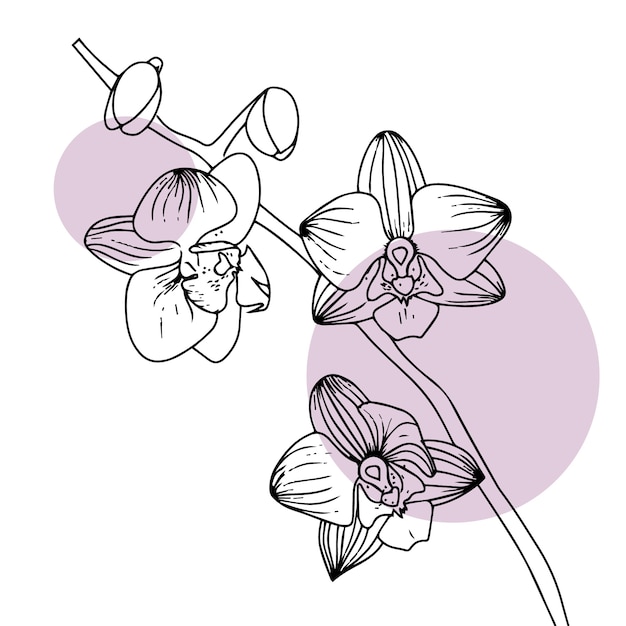 Vector hand drawn flat design simple flower outline