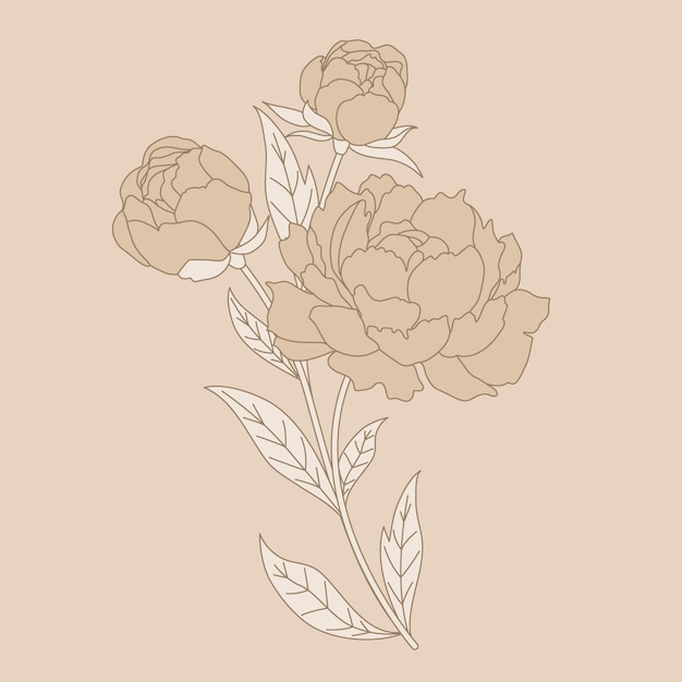 Vector hand drawn flat design simple flower outline