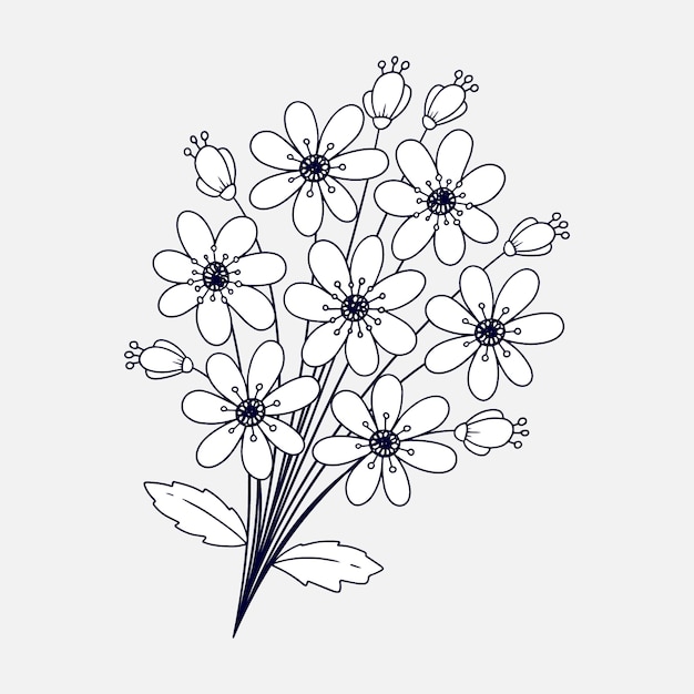 Vector hand drawn flat design simple flower outline