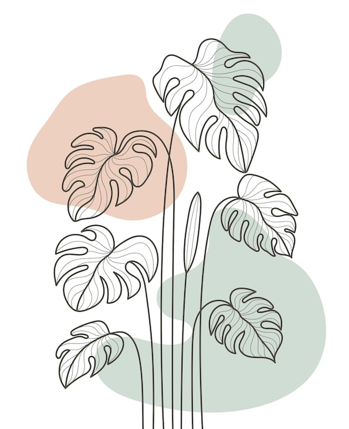 Vector hand drawn flat design simple flower and tropical monstera plant outline