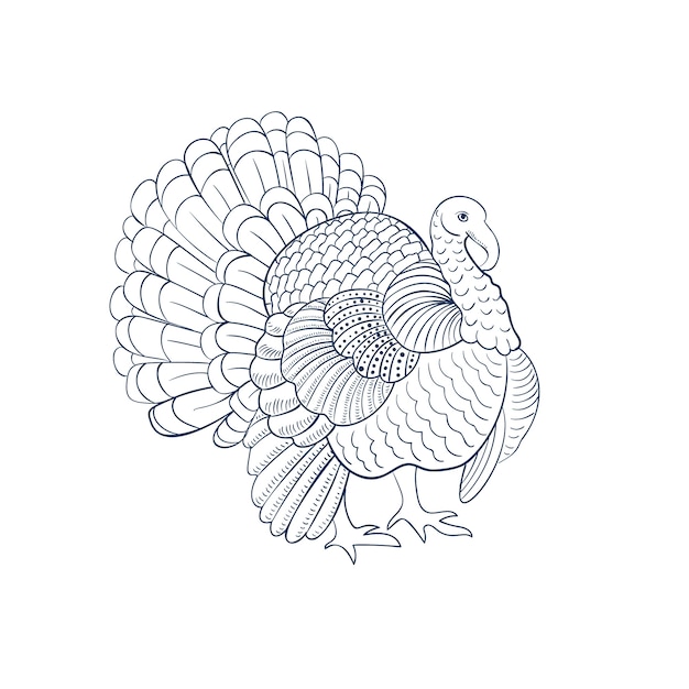 Vector hand drawn flat design turkey outline