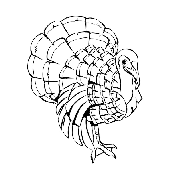 Hand drawn flat design turkey outline