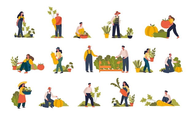 Hand drawn flat fruit harvest mini illustration set