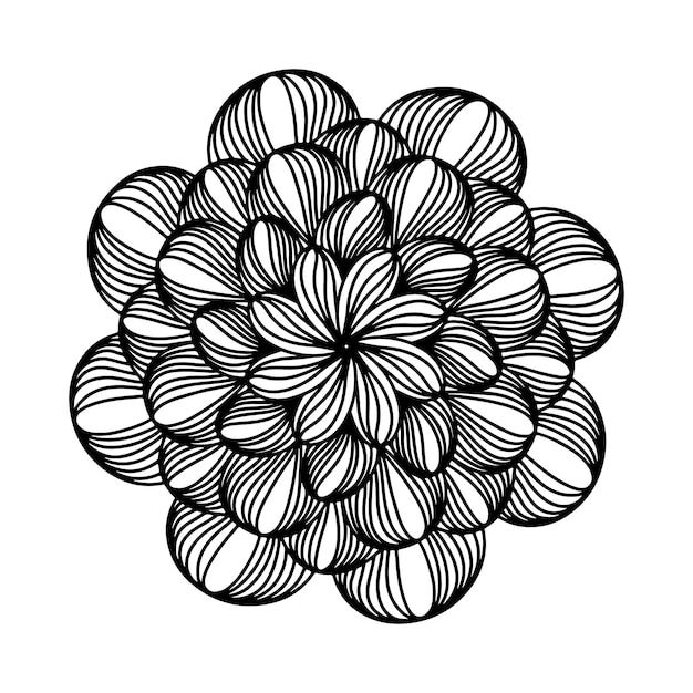 Hand drawn floral aster mandala chrysanthemum in doodle style Adults and kids coloring page