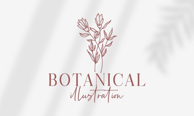 Vector hand drawn floral botanical logo bundle illustration collection for beauty natural organic premium