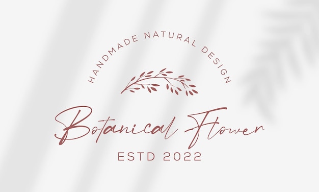 Ручной обращается цветочный ботанический логотип набор иллюстраций для красоты натуральный органический premium