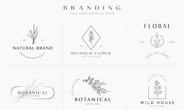 Raccolta dell'illustrazione di logo botanico floreale disegnato a mano per la bellezza naturale organica vettore premium