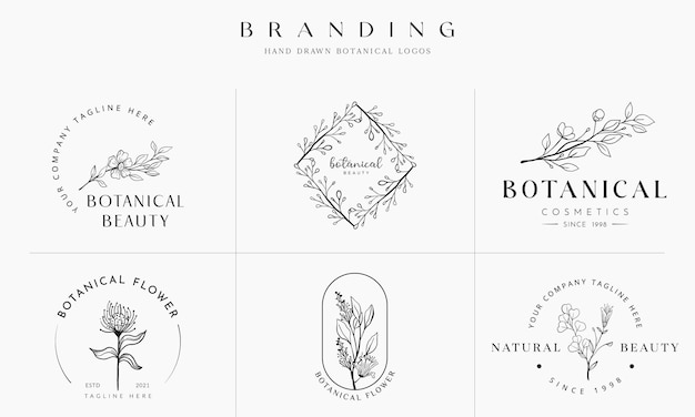 Raccolta dell'illustrazione di logo botanico floreale disegnato a mano per la bellezza naturale organica vettore premium