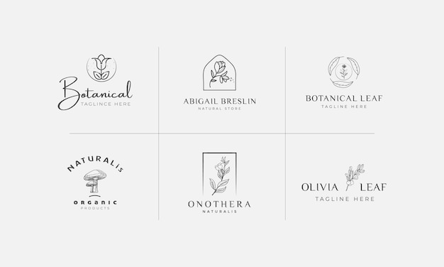 Raccolta dell'illustrazione di logo botanico floreale disegnato a mano per la bellezza naturale organica vettore premium