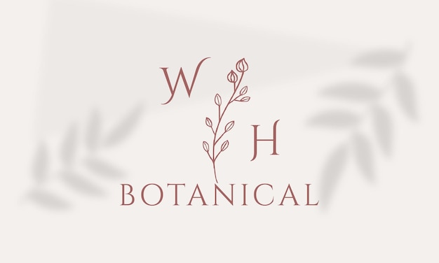 Vector hand drawn floral botanical logo illustration collection for beauty natural organic premium vector