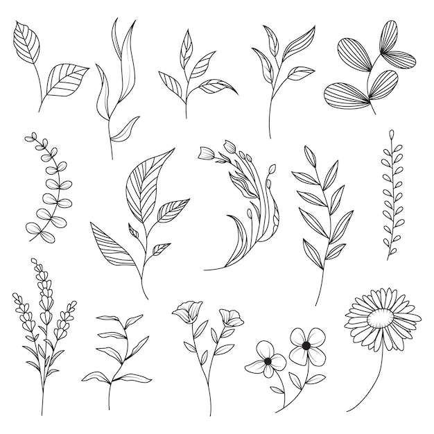 Hand drawn floral collection. vector illustration