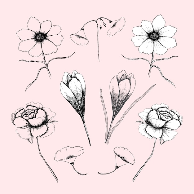 Vector hand drawn floral collection