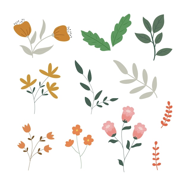 Vector hand drawn floral collections