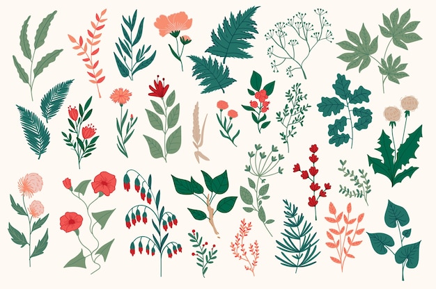 Insieme di scarabocchi botanici disegnati a mano elementi decorativi floreali, foglie, fiori, erbe e rami